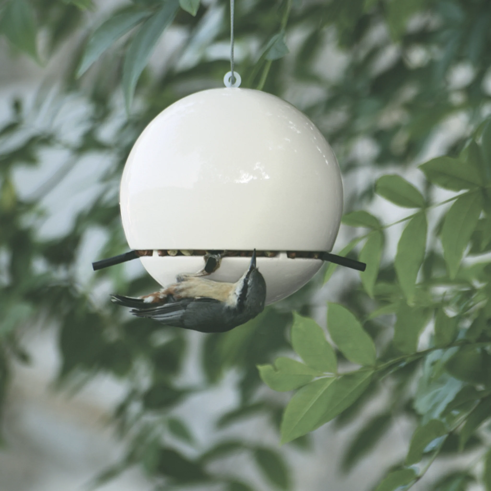 Birdball Peanut Feeder by Green and Blue - Image 4