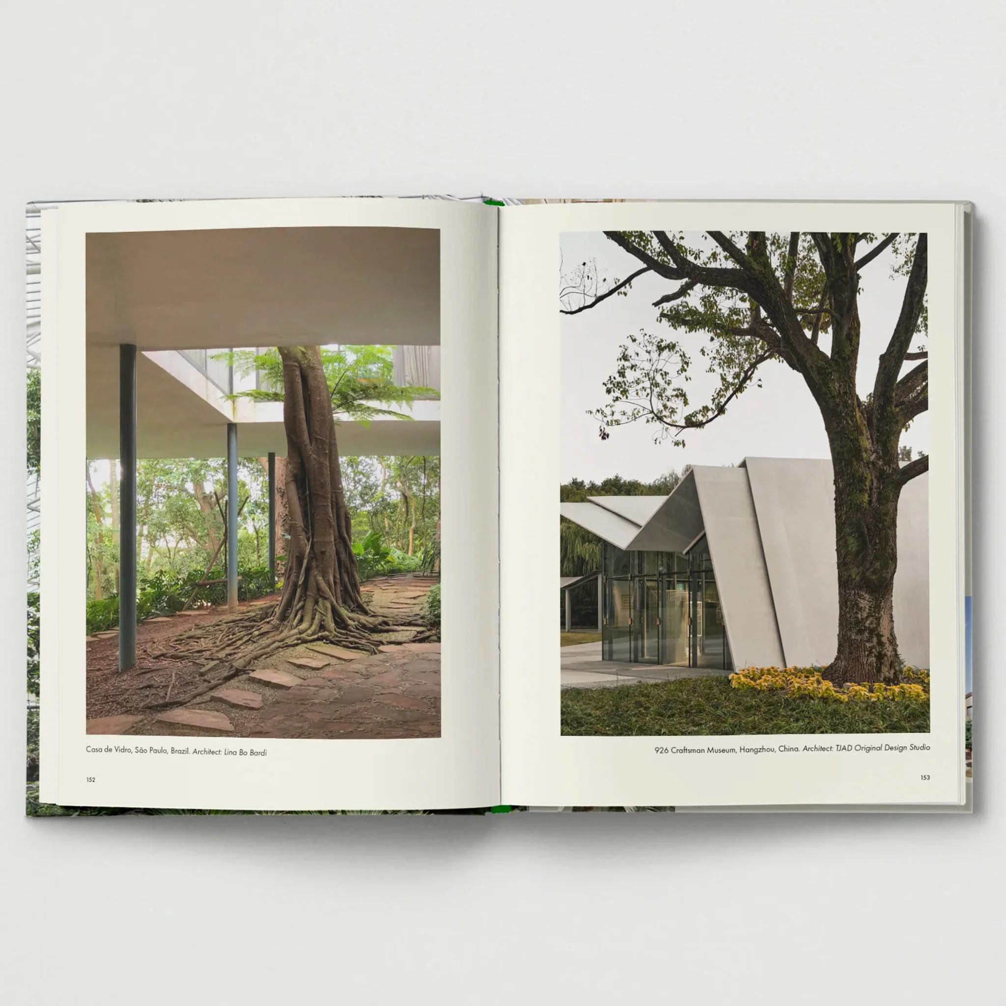 Brutalist Plants by Olivia Broome for Hoxton Mini Press - Image 3