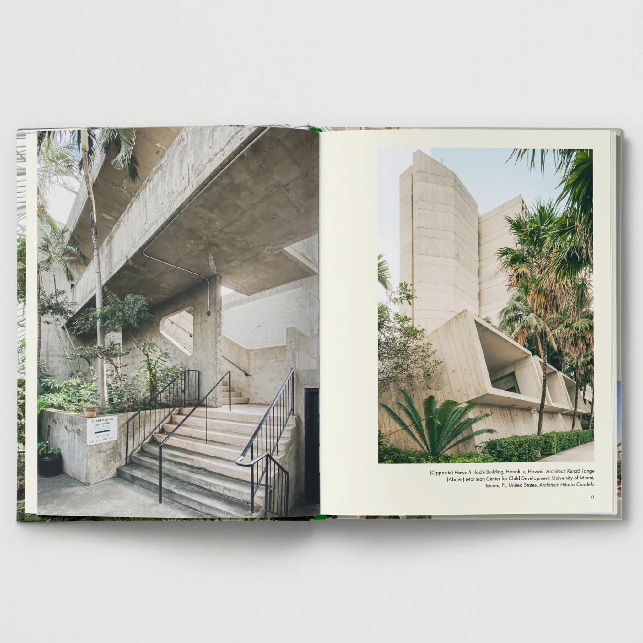 Brutalist Plants by Olivia Broome for Hoxton Mini Press - Image 4