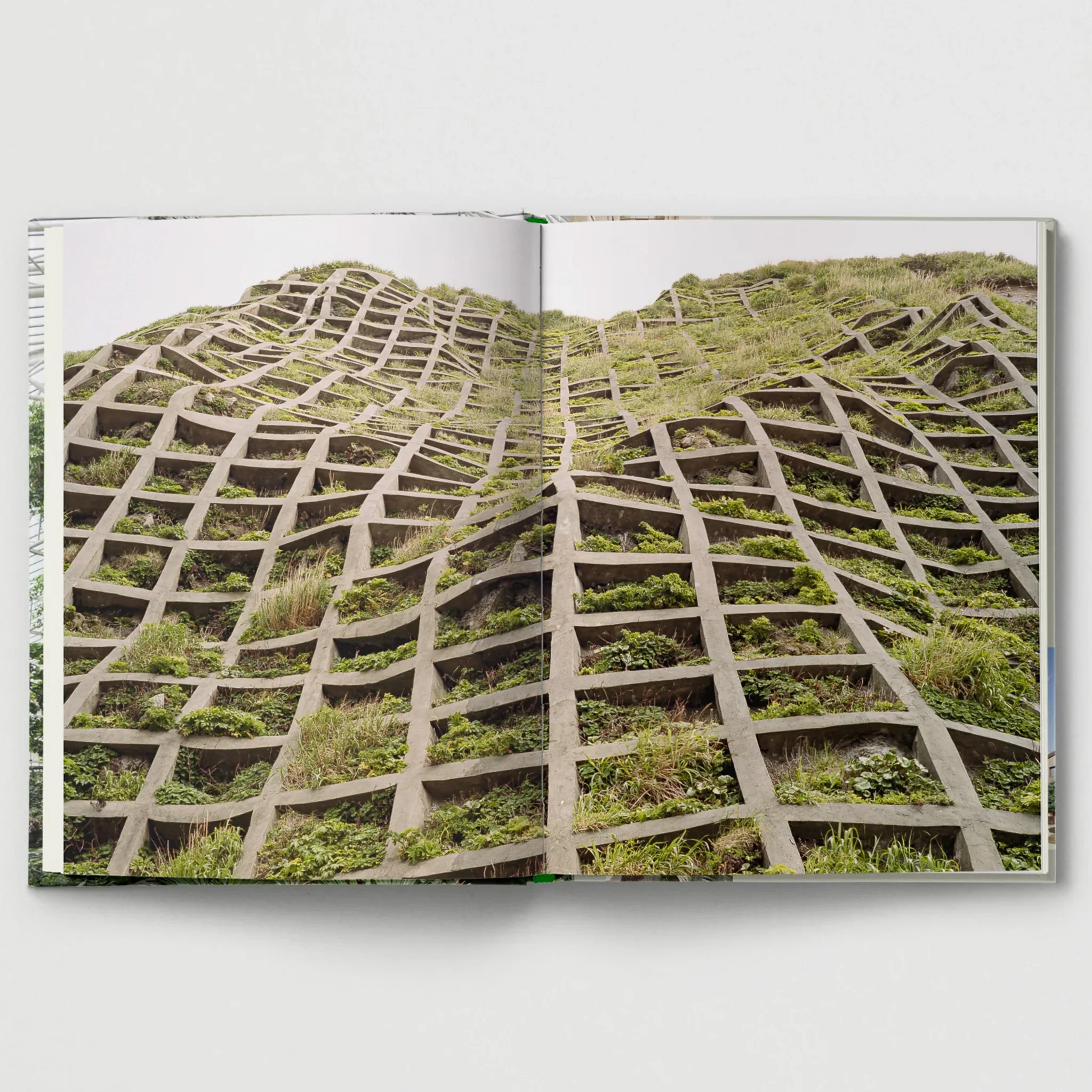 Brutalist Plants by Olivia Broome for Hoxton Mini Press - Image 5