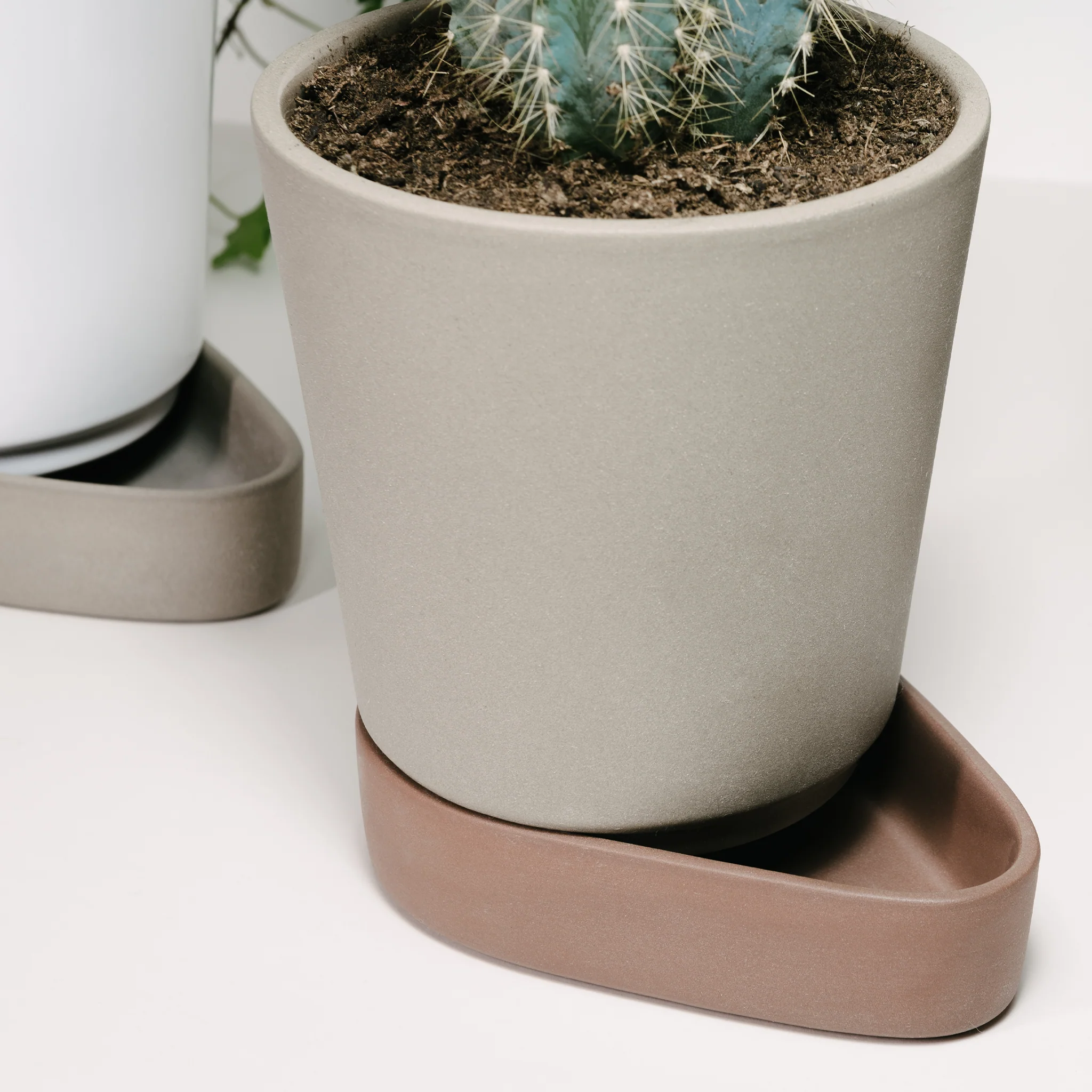 Sip Plant Pot by Case - Image 3