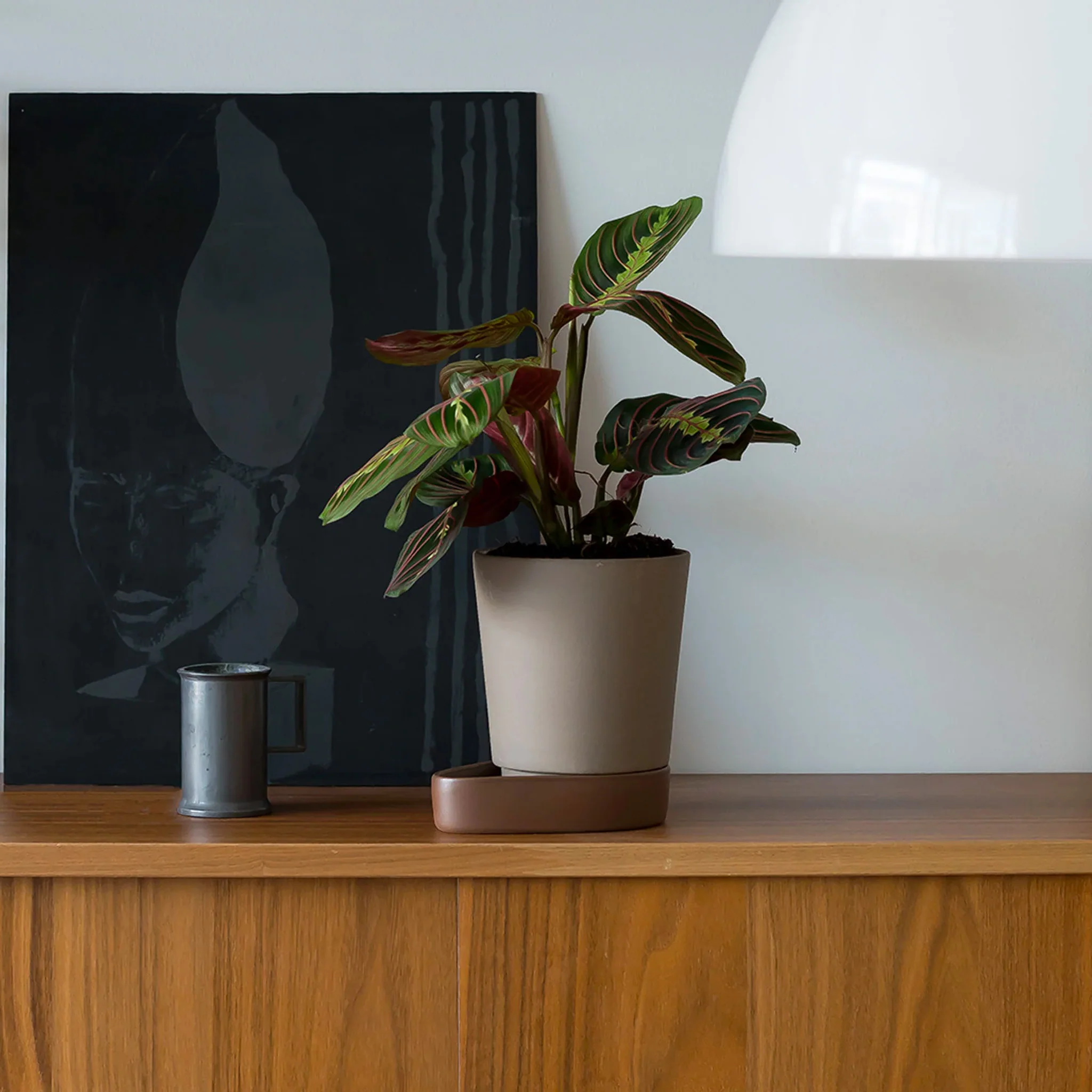 Sip Plant Pot by Case - Image 5