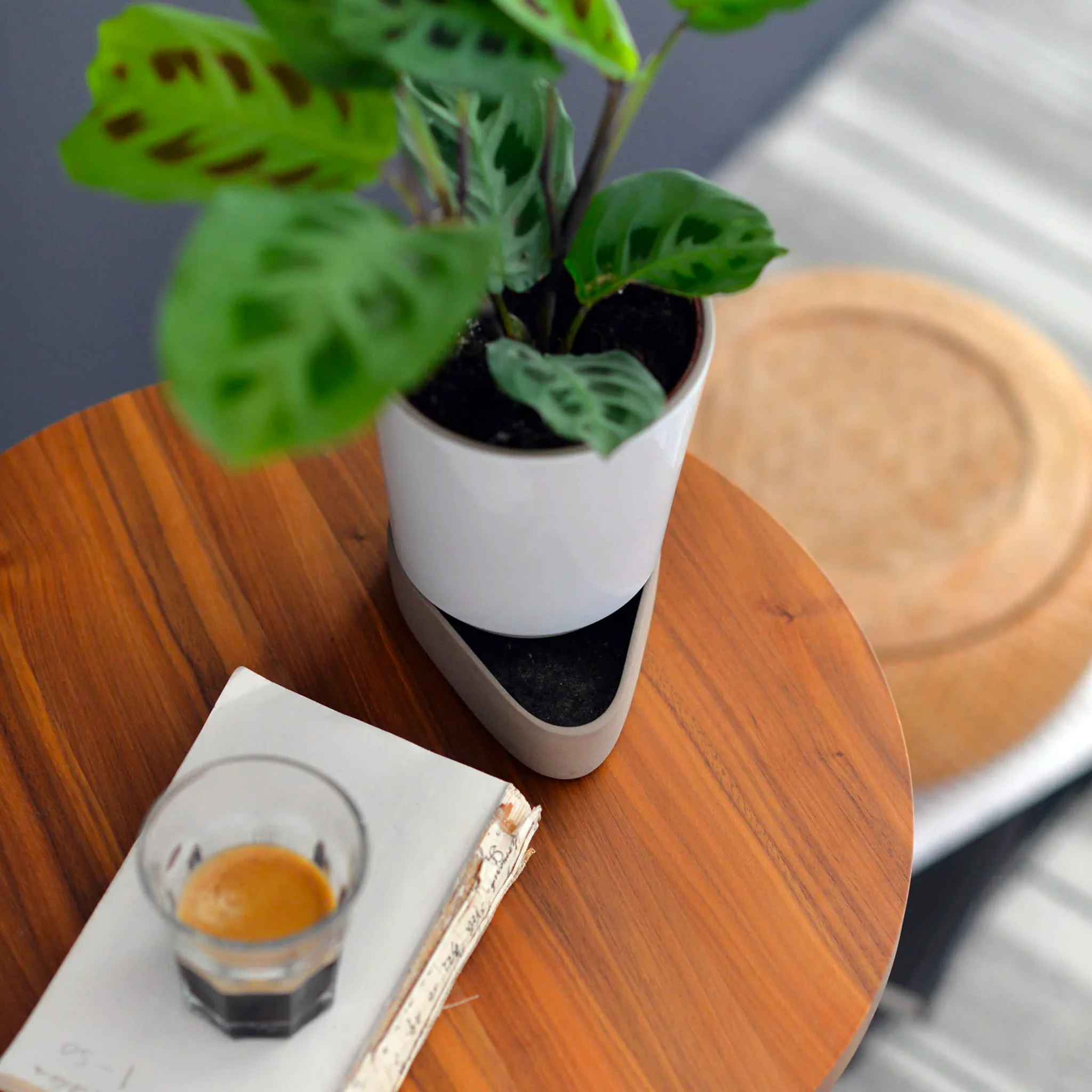 Sip Plant Pot by Case - Image 6